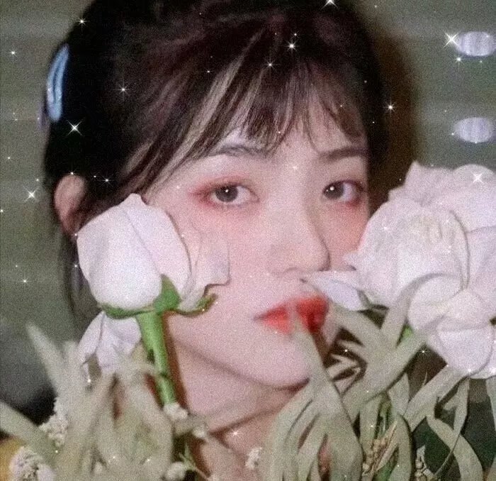 美丽谎言2014